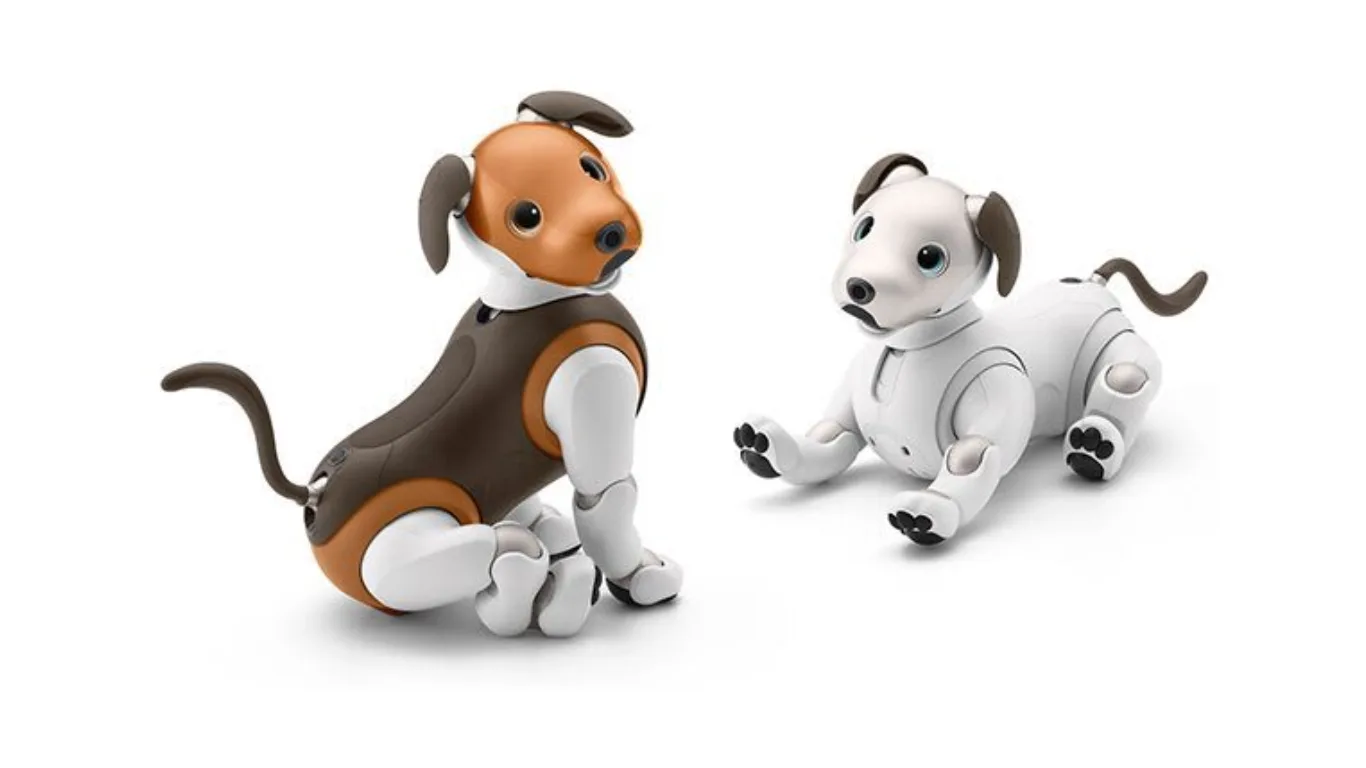 Latest Telugu News - 12-01-2025 - robo dog